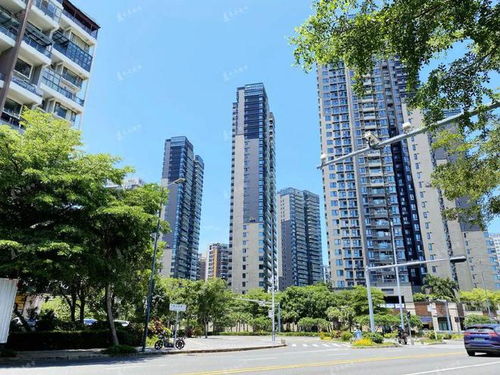 微山房产大家怎么看楼盘