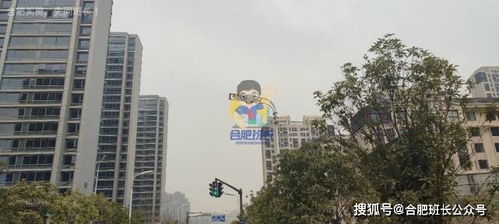 九联明信房产怎么样