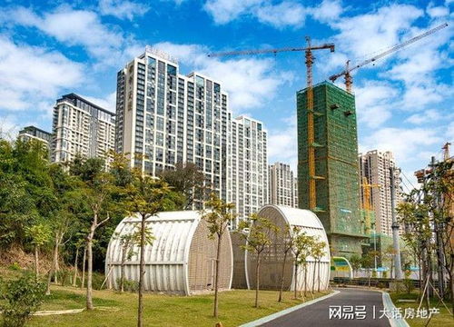 龙光房产怎么样
