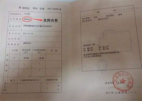 房产证和父母怎么分配