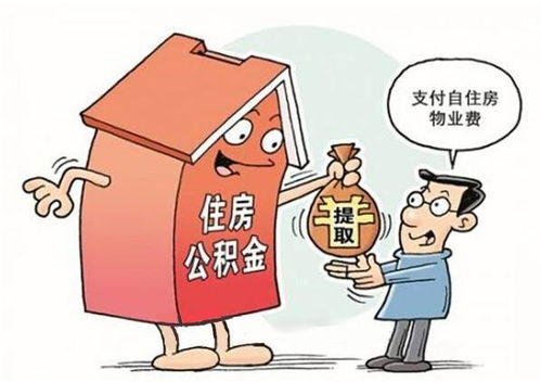 抢夺房产亲戚怎么处理