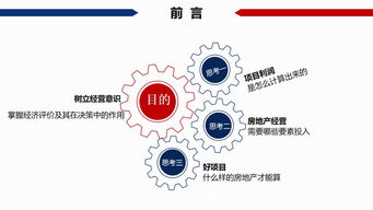 分析房产项目怎么写