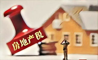 房产公有私有怎么体现