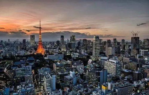 日本怎么算房产面积的