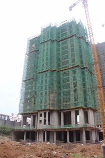 大悟房产怎么样