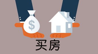 房产信号怎么调整