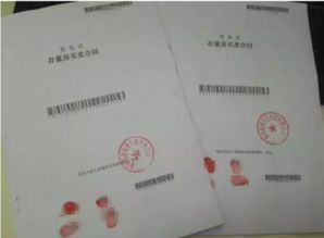公司房产怎么备案
