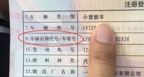 楼龄怎么查房产证的