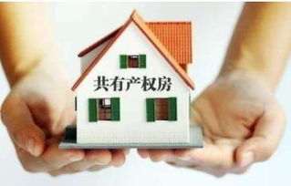 怎么叫小房产权
