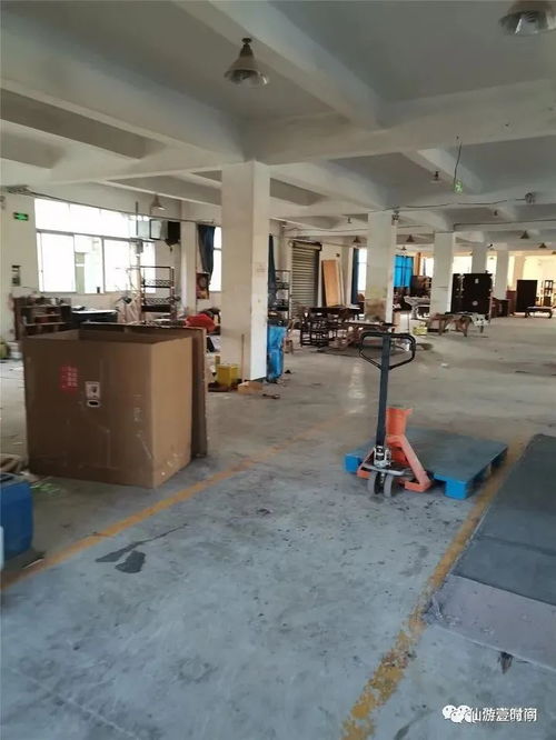 查封房产家具怎么处理