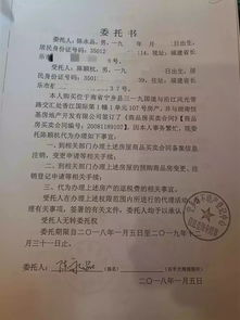 房产委托书怎么写
