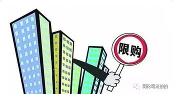 房产拍卖怎么执行