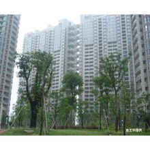 万年城房产怎么样