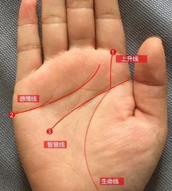 女生手相怎么看有房产证