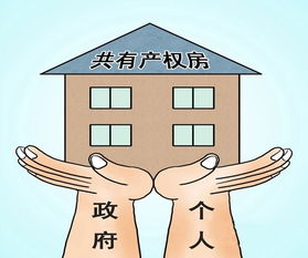 房产怎么共有