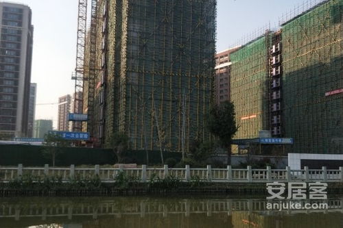 奉节金科房产怎么样