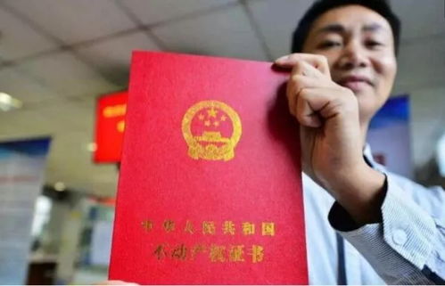 以前房产证政策怎么查