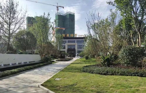 阆中恋家房产怎么样