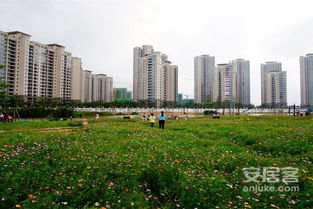 全优房产怎么样