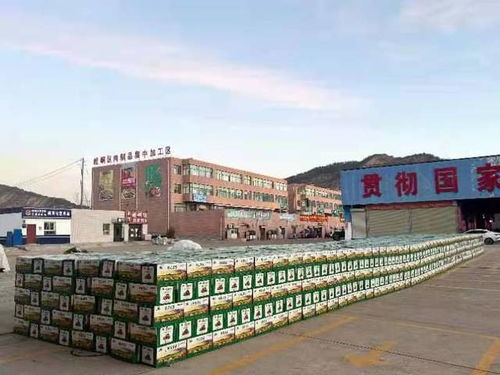 新疆大湾房产怎么样