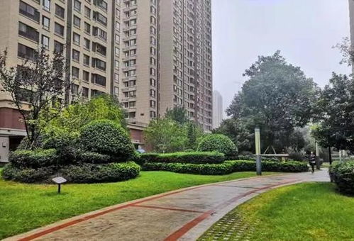 滨湖房产怎么炒