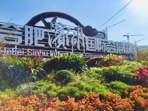 滨湖房产怎么炒