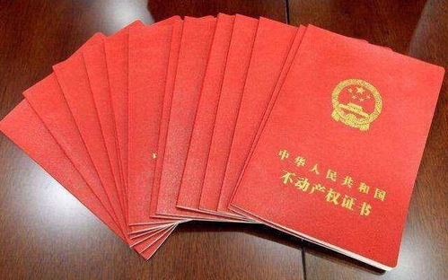 弟弟有俩套房产怎么分配