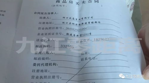 房产抵押查封怎么卖