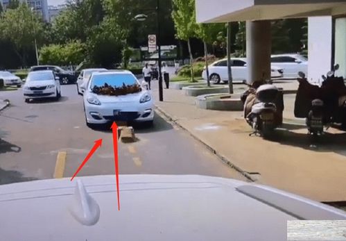 房产新人怎么进小区