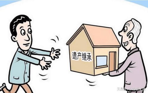 哥哥的房产怎么继承