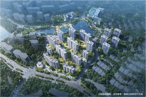 团购大湾区房产怎么样