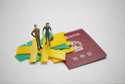 两个人争房产怎么办