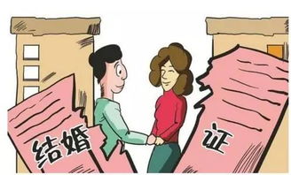 房产怎么虚假过户