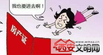 房产情况怎么写