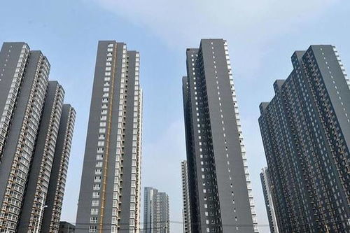泰安齐鲁房产收费怎么样