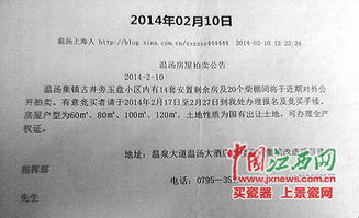 划拨房产怎么执行拍卖