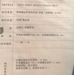 划拨房产怎么执行拍卖