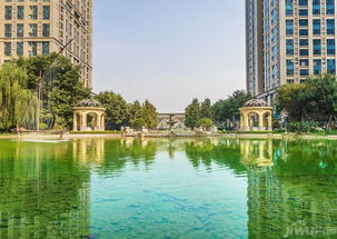 怎么去恒大房产地址