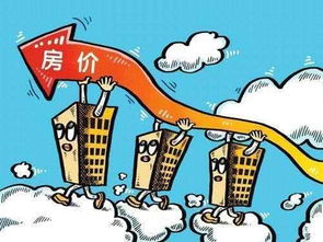 房产人怎么提高自己