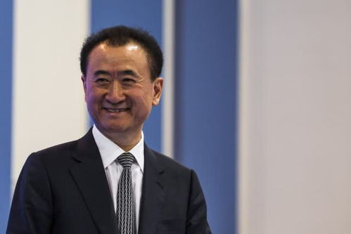 悉尼王健林房产怎么样