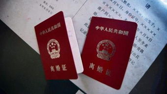 民政局离婚房产怎么分的