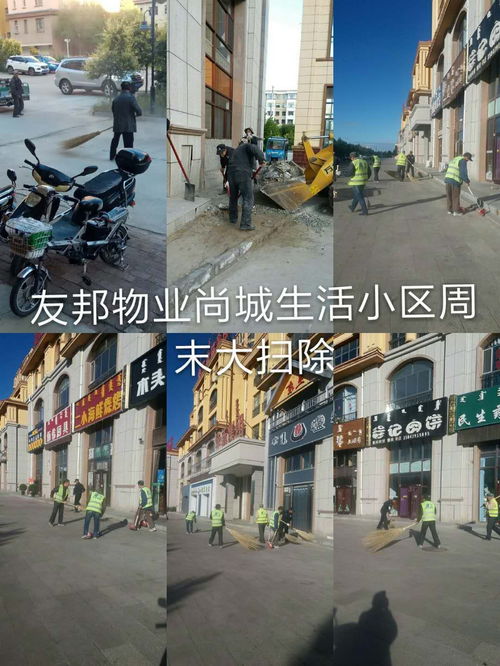 街道的房产怎么查询