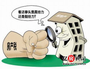 房产税调不到怎么办