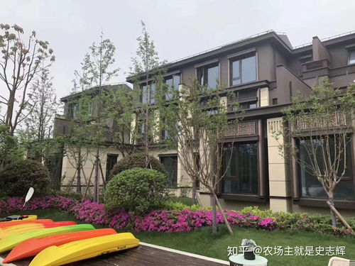 婚内房产怎么卖出来