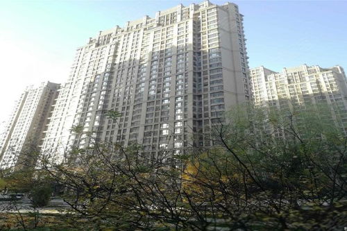 远见房产怎么样