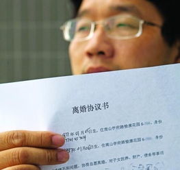 怎么写分割房产协议