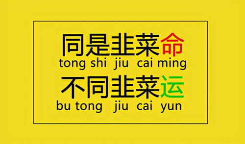怎么从房产上挣钱