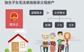 无法继承的房产怎么分配