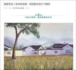 房产创意视频怎么拍