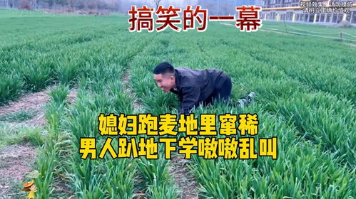 麦田房产不包吃怎么搞